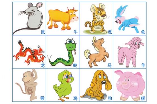 2026年生肖全解析，灏泽叔手把手教你一整年顺顺利利