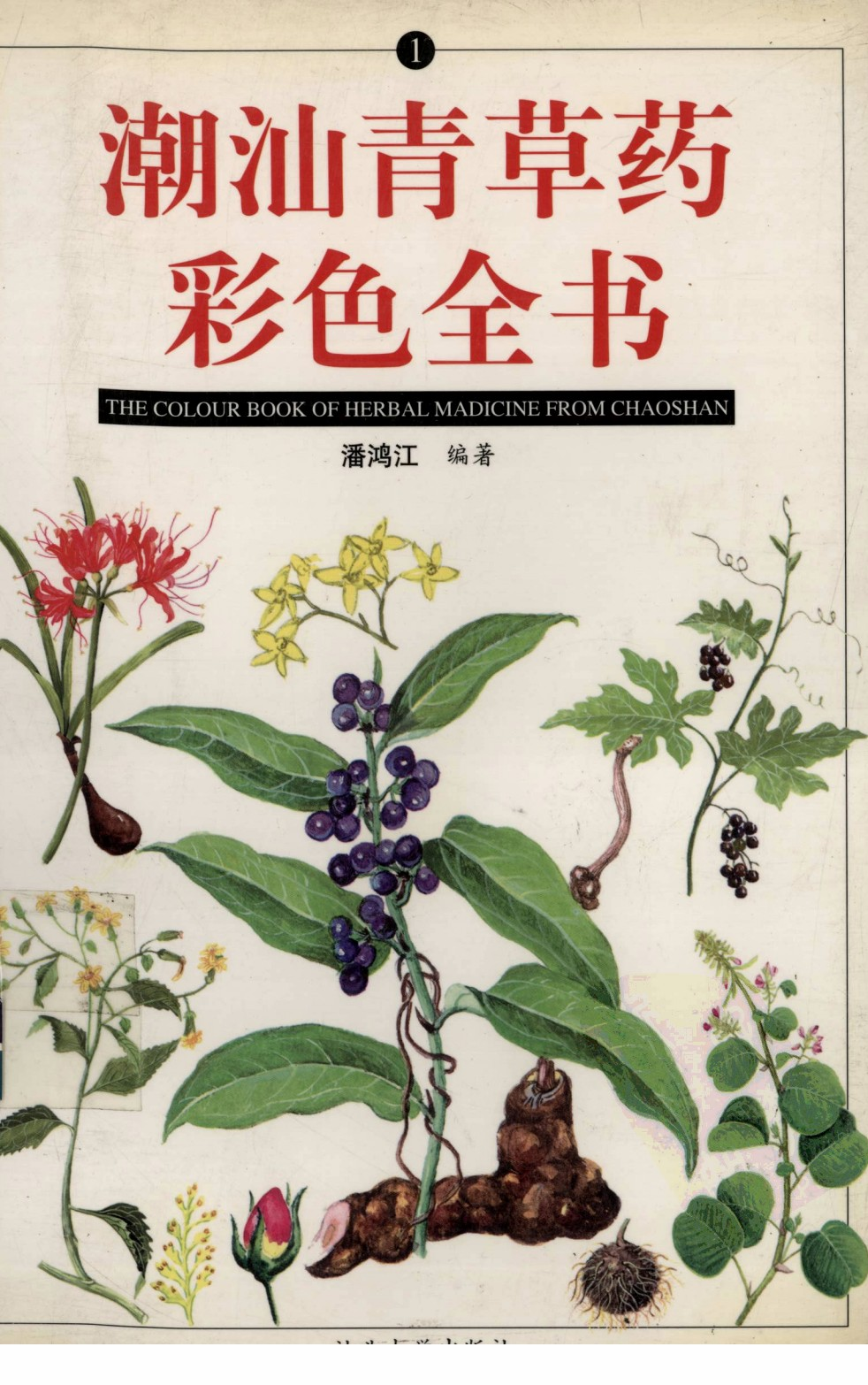 5_1_潮汕青草药彩色全书 _潘鸿江著